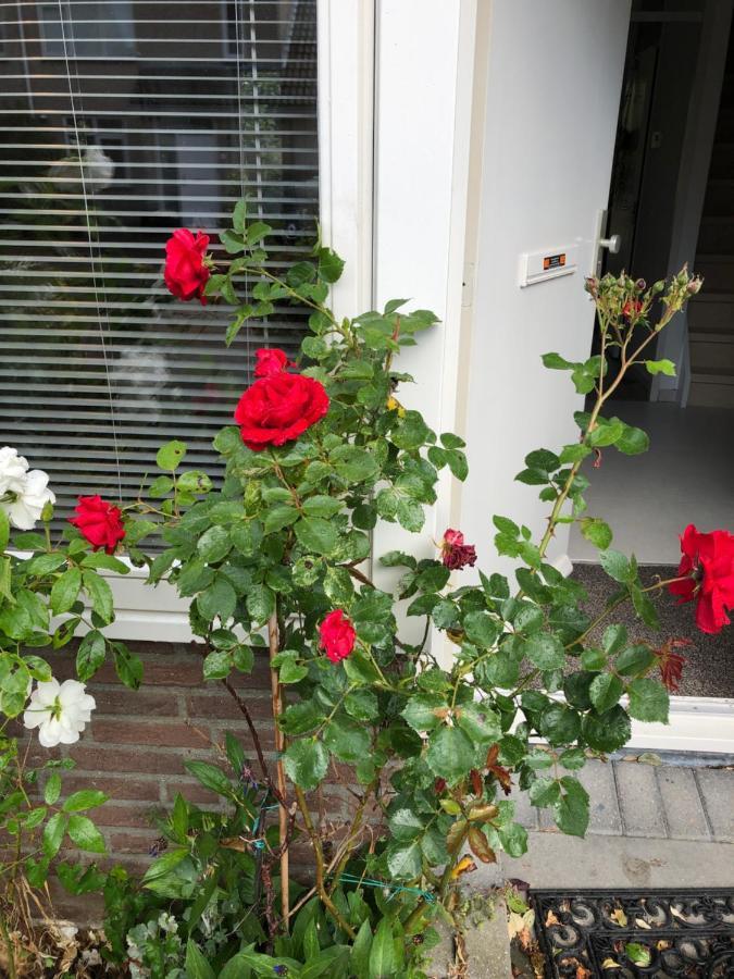 Vakantiewoning In Middelburg Zeeland Экстерьер фото